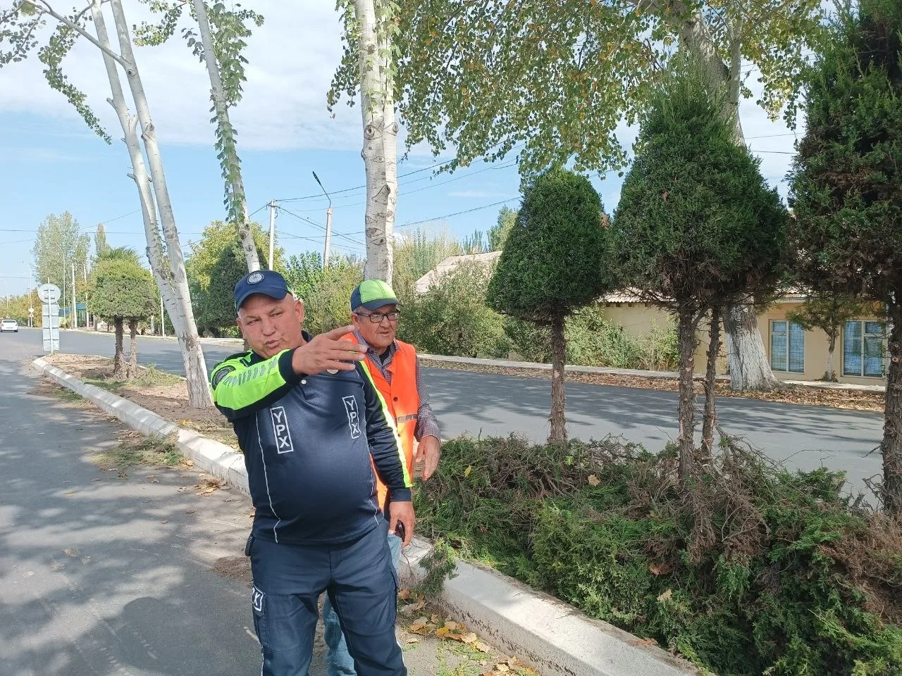 Xonobodda yo'l xavfsizligini xavf ostiga qo'ygan archa daraxtlari butalandi