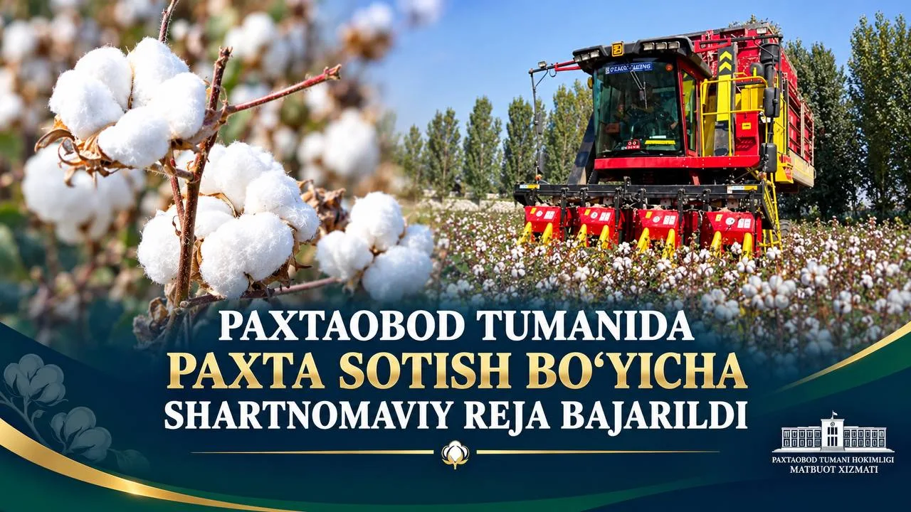 Paxtaobod tumani paxta yetkazib berish bo'yicha shartnomaviy rejani bajardi